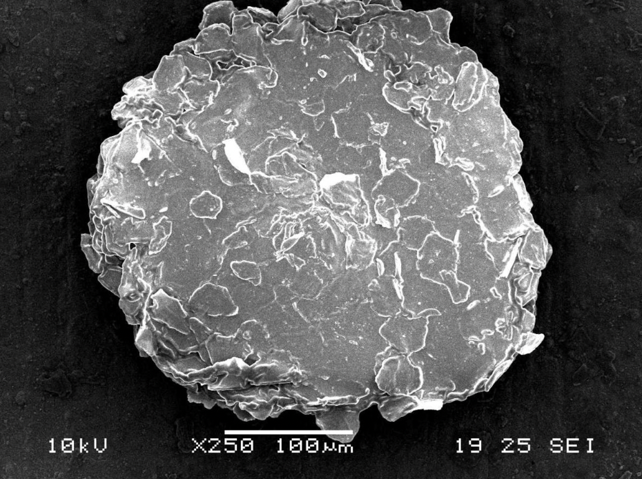 ROOTed in Science, Made for You: The Framework That Ends Dandruff for Good